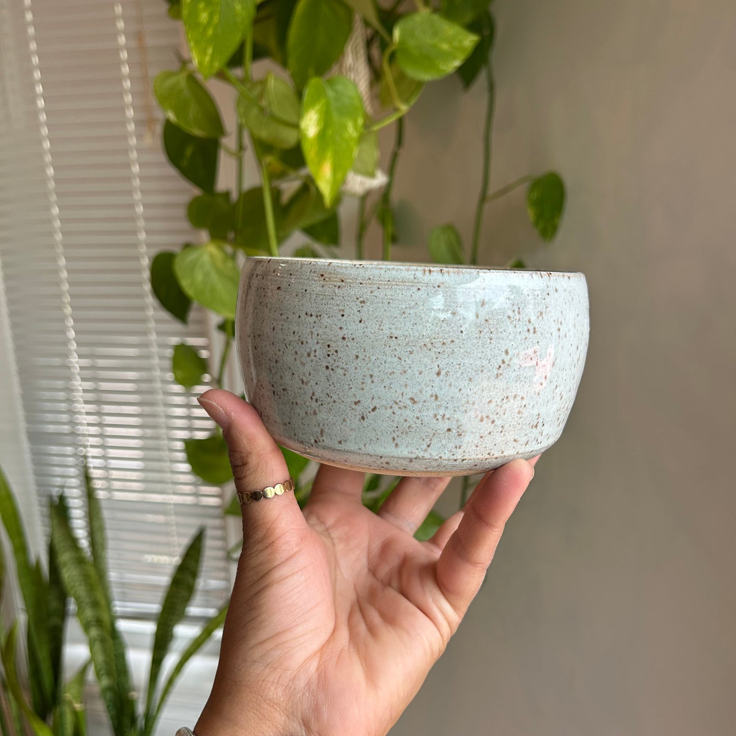 Pottery Bowl