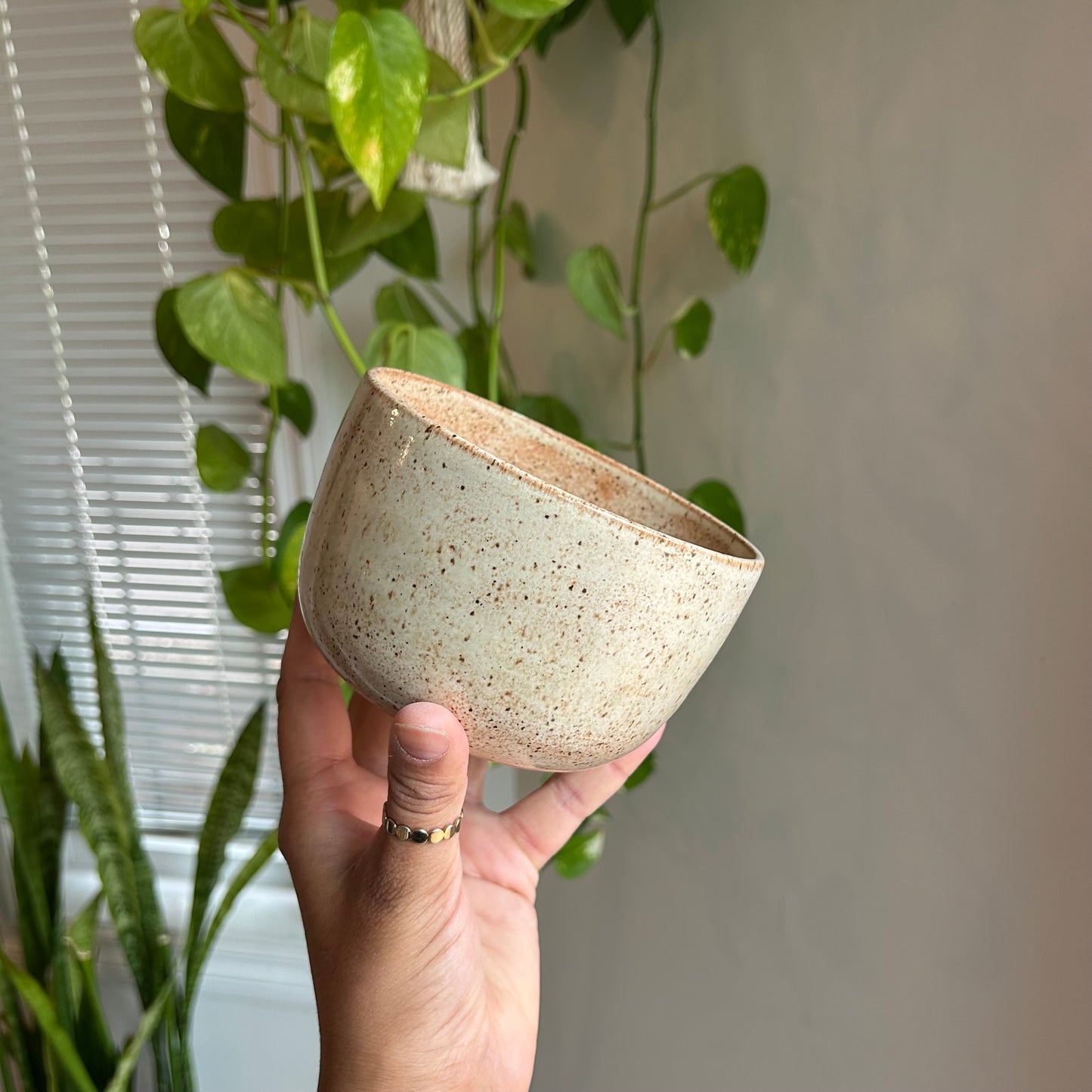 Speckled Pottery Bowl